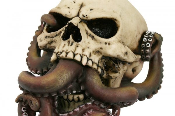 Как найти kraken
