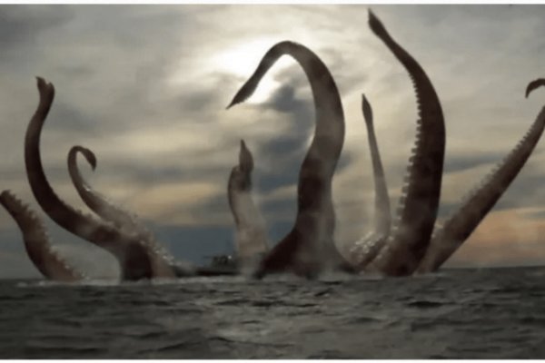 Kraken market