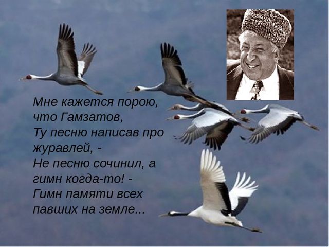 Сайты типа гидры