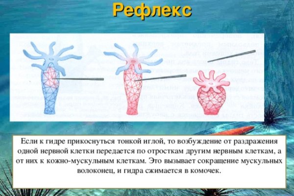 Кракен даркнет ссылка зеркало