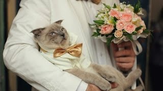 Кракен ссылка что это
